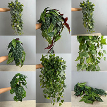 ����G�}�ٗl �L����ֲ��bڒ��ٗl��������ֲ���ﺣ�ıڒ�