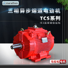 Marathon�R����늙CTCSϵ�����ஐ������ �ߜ�늄әCIE3�T�F��ʽ