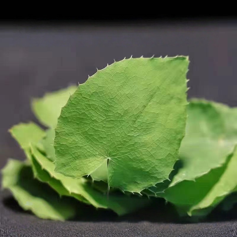 Epimedium Leaf Yin Yang Huo Dried Herb for Tea and Decoction 100g Bag preparation