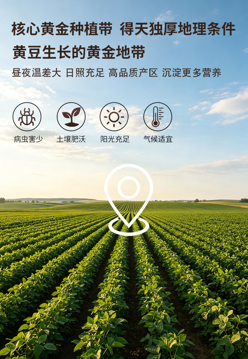 Roasted Soybean Powder 500g Food Grade Huang Dou Fen for Baking and Traditional Snacks preparation
