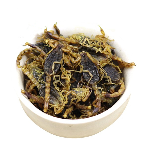 Whole Scorpion Quan Xie Dried TCM Herb 500g Natural Sun-Dried Shandong Origin quality and texture
