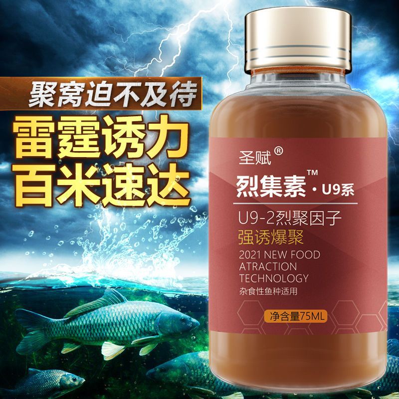 Cebo para peces pequeños, cebo para peces de pesca