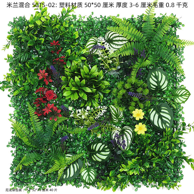 50*50-TS-02
