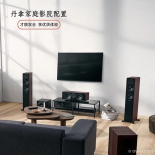 Dynaudio/Danna new artistic conception Home Theater Speaker audio amplifier set 5.1 Basic Advanced version