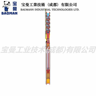 ȫ����ƷFlowserve��˹SUBMϵ����ʽ��ˮ�Î�ֱʽ���͝�ˮ늙C