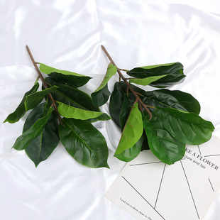 ���W����ֲ��Gֲ�����辰�b��~�ӆ�֧�٘��~����[�Ż�ˇ���~��