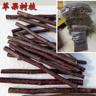 ����ҧĥ������ߺ���O������֦����}����؈������ʳ���m�i