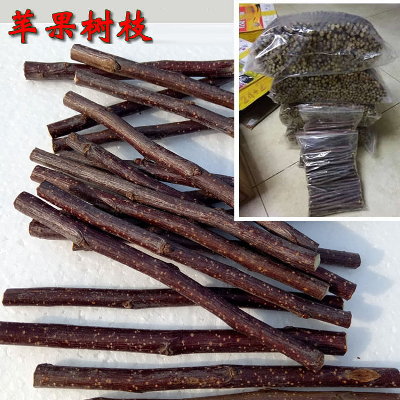 宠物咬磨牙棒玩具烘干苹果葡萄枝松鼠仓鼠龙猫兔子零食荷兰猪
