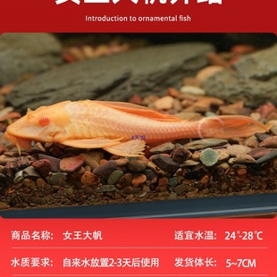 �t��Ů��������~���w�~�Ꭷ��ˮ�^�p�~�坍��������ԼS�㹤���~