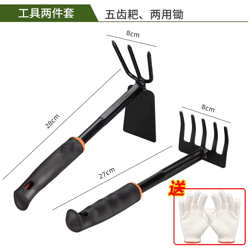 5개 갈퀴 + 이중 목적 이(1개 구매 시 1개 무료), 총 2개 + 무료 장갑