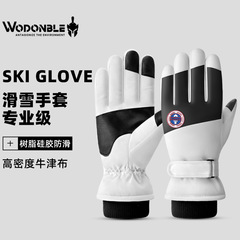 滑雪手套戶外騎行防滑防潑水可觸屏冬季防寒分指時尚加絨保暖手套
