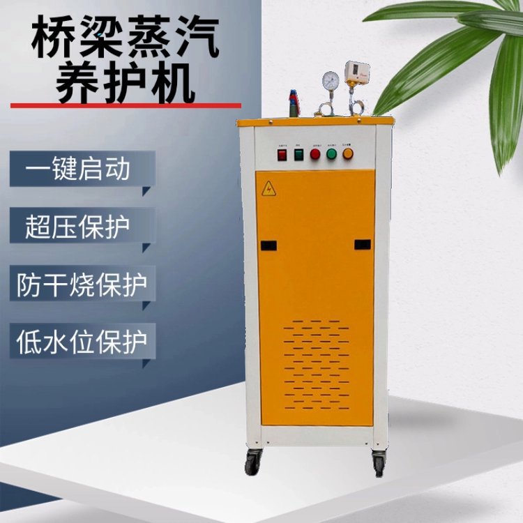 混凝土水泥桥梁蒸汽养护机 蒸汽发生器 电蒸汽熨烫机酿酒蒸汽机