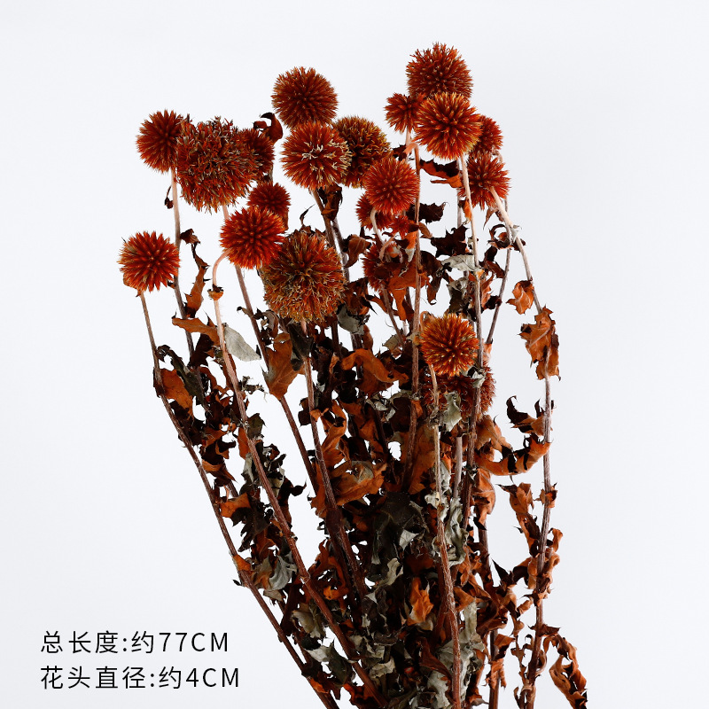 Red red inmortalidad serie de flores secas de hierba de hortenida decoración hecha a mano DIY materiales de floristería lote
