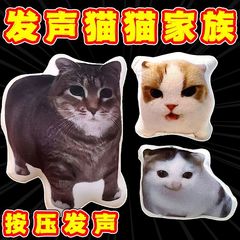 猫memeは声を出して子猫の人形の音声で声を出してかばんのキーホルダーを押して友達の親友にプレゼントします。
