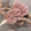 [卡其色【60支左右】]