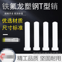 ����T���N����N�F�������ᔸ����Nģ��������z2-3-4-5-6-8-10