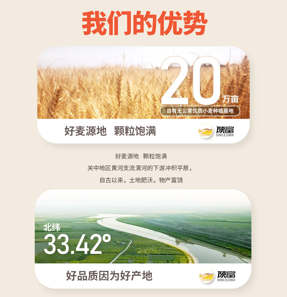 O1CN019x4yM32Mm3hdIlLK8_!!2211895429869-0-cib.jpg?__r__=1709200903362