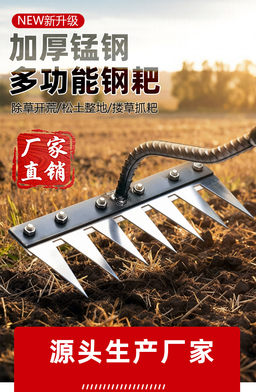 详情1.jpg