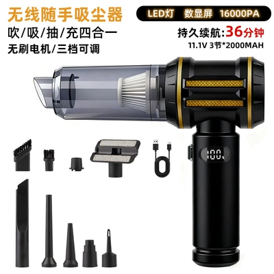 Cross-Border New Car Vacuum Cleaner Tozsoranlar - 1201-black-gold