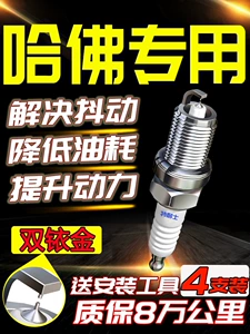 Great Wall Haval H6 H5 H3 H2 H1 F5 H7 H8 H9 M6 İridium Şam