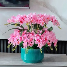 �������m�ٻ��͏d�[���b��Ҿ��҃Ȼ�ˇ�ҕ�������[�O���԰��]