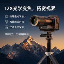 12���L���R�^�m�ô��\�����CAction5/4�Ŵ�12����������R�^
