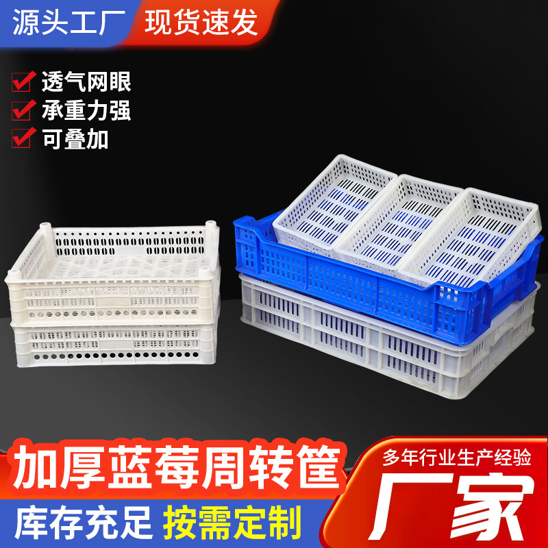 蓝莓周转筐多规格加厚周转箱物流中转箱冷冻水果收纳工业塑料筐
