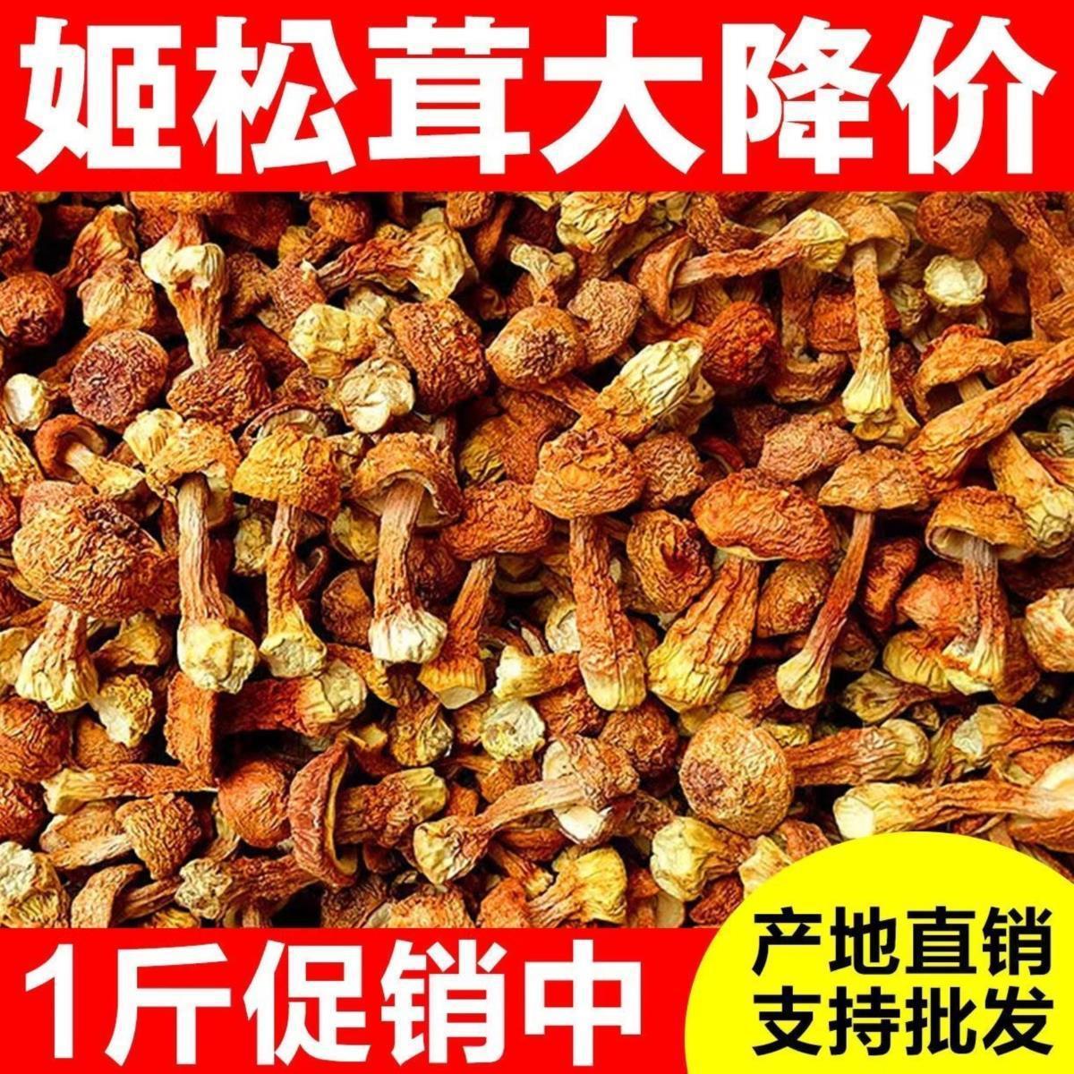 云南姬松茸干货姬松茸新鲜云南特产松茸菌巴西菇煲汤虫草当季新货