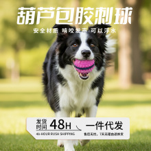 ���������ҧĥ���l���J���z�����Xtpr������������l