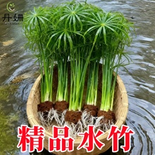 ˮ��ˮ����ˮ�ີ����~�����쾰����ˮ�|С���ԾGֲˮ�B�~������