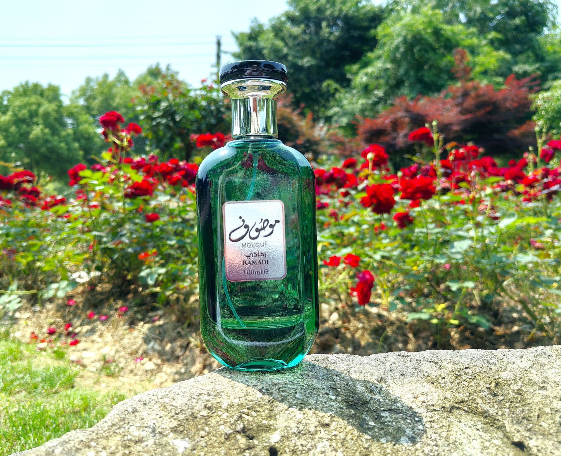 Eau De Toilette Perfume With Deep Woody Notes Middle Eastern Style_voghion.com