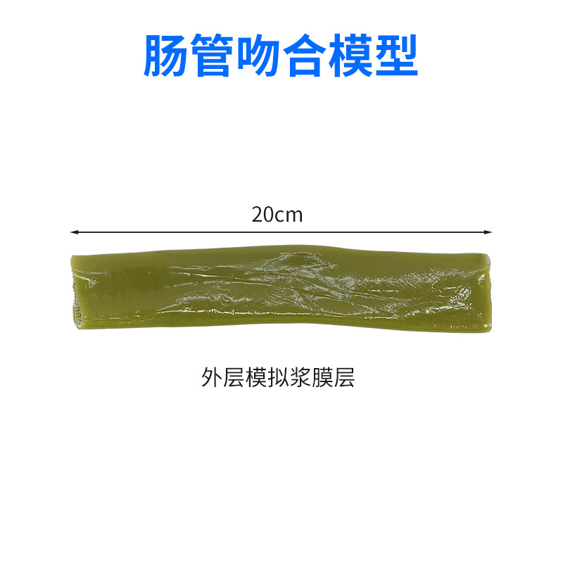 ��Ƽ����п������ϰ�����ֱ���֫����֫ѵ��ģ����ѵ��ģ��