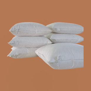 Factory Professional Customized Sofa down Feather Pillow Export Export Cross-Border 10% White Duck down Cushion Core Pillow Core