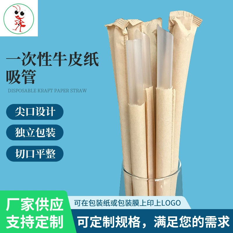 Source manufacturer disposable PP plastic independent packaging straw