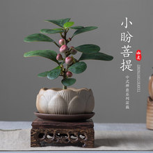 С����������ֲ���҃��k���ҾGֲ�������B����ʽ�U�������辰�[��