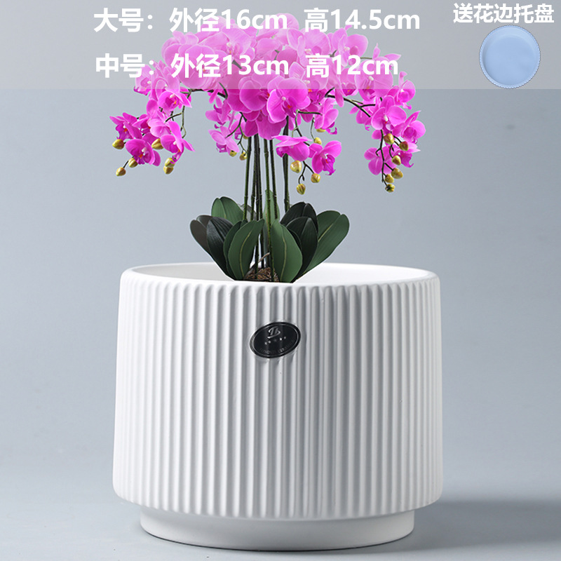 Athens ancient porcelain white (with plastic tray)