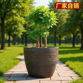 特大号粗陶紫砂花盆绿萝多肉种菜种树百搭大号陶瓷盆景盆特价清仓