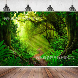���R�d����ɭ�֔zӰ�������L���b���Ʒ��ϩ��