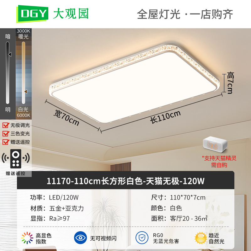 Luz de techo de sala de estar moderna y simple nueva luz de lujo de alto nivel, luz de techo de protección de ojos de espectro completo 293L