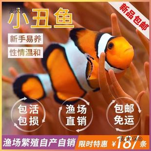 �ĺں�������̫����ĪС���~��ˮ���~ѩӡ�����˹��~�^�p�~С���~