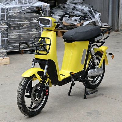 Cross-Border Supply of Electric Vehicles, Elektrikli motosikletlər