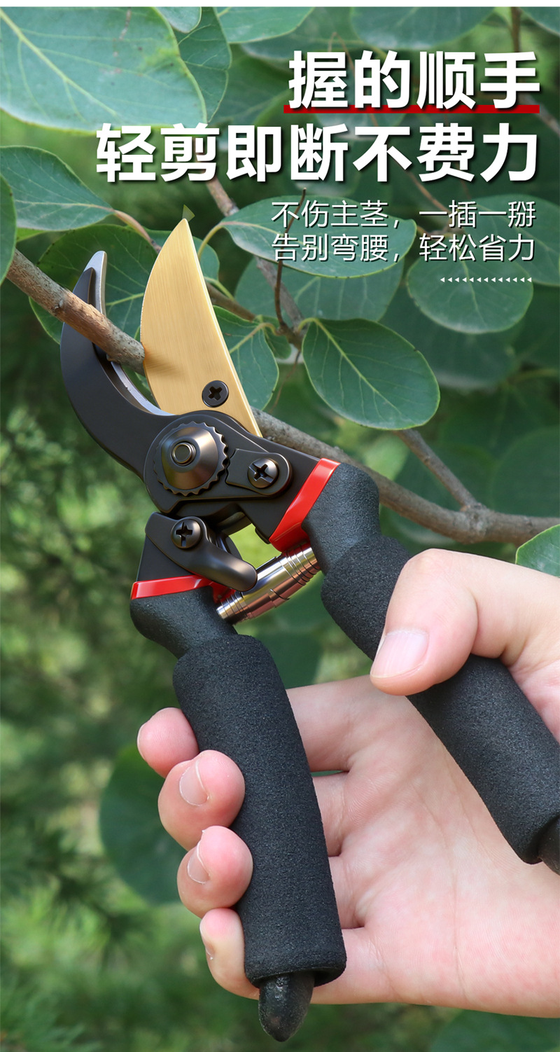 未标题-2_05.jpg