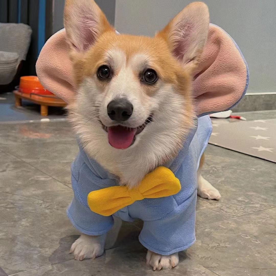 코기 옷 애완 동물 가을 겨울 옷 두꺼운 따뜻한 중소 개 BIXNERY 조끼 빛나는 개 옷