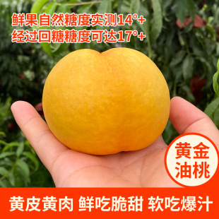 ɽ�|����S�����ґ���ˮ������ �Fժ�F�l�����^���S��������