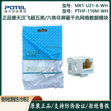 ��Ʒ ����h�w�������RJ45ģ�K PTHF-116M2-WH ����W�jģ�K
