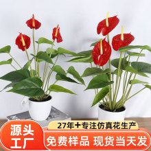 仿真红掌植物盆景 仿真花假花盆景客厅落地摆件 花卉盆栽植物绿植