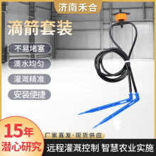 滴箭厂家基质栽培果树用滴箭滴灌系统四爪滴剑套装一出四滴箭