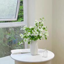 ߙn߶p ͏d͏db[ ǧ滨ٻ[O