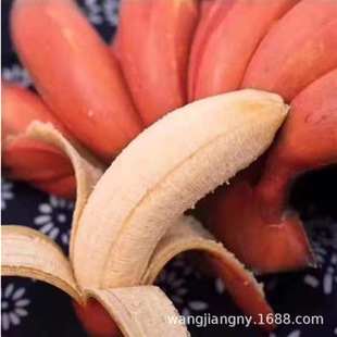 �㽶���� �Ϸ��ļ��O�����tƤ�����Ž������҃�����ˮ������ͥԺ