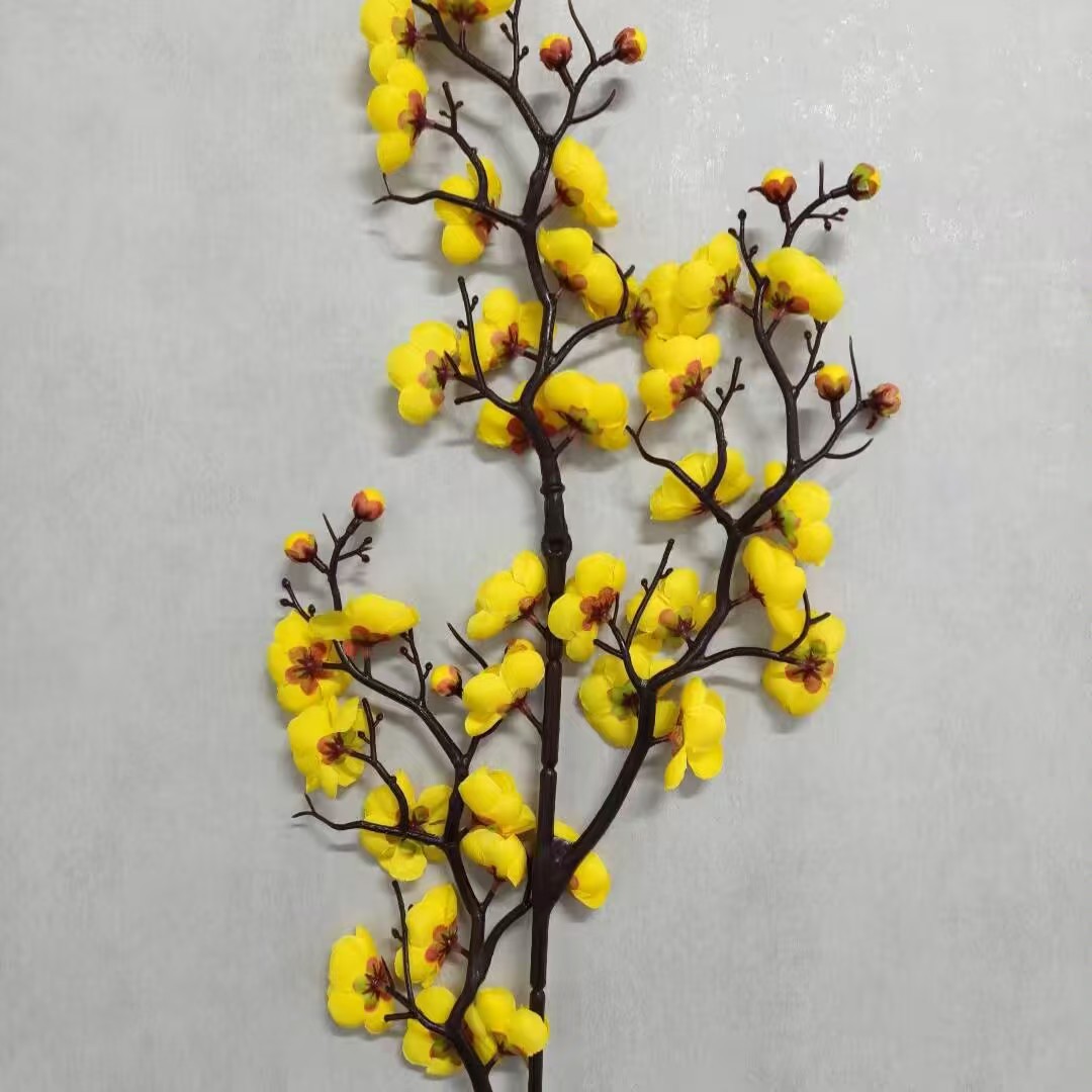 큰 세 갈래 매화 노란색